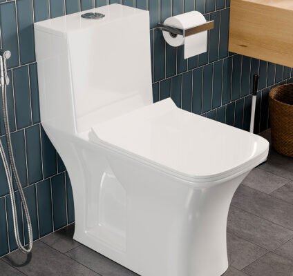 toilet toilet